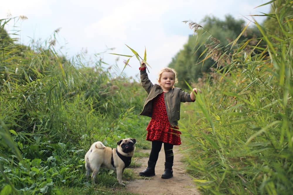 girl-pug-amsterdam-6