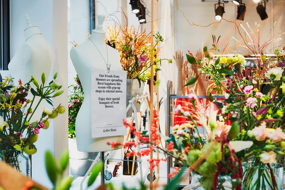 bloomon_stories_pop-up_1
