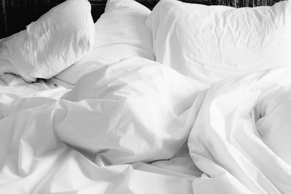 BED BUNNY