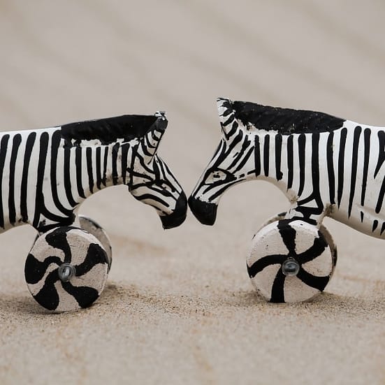 popo_zebra_1-600x600
