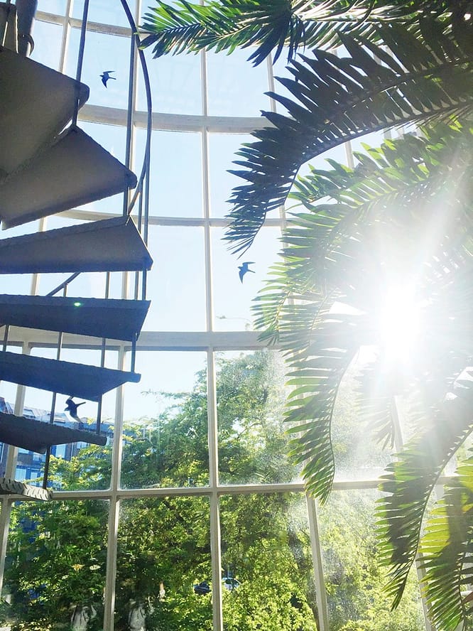 Hortus Botanicus Karvan Cevitam(11)