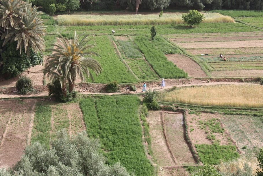 Morocco Travel Tessted (3)