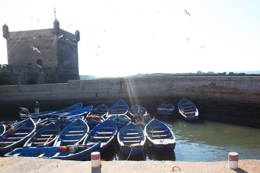 1. Essaouira Marokko Tessted Travel (17)