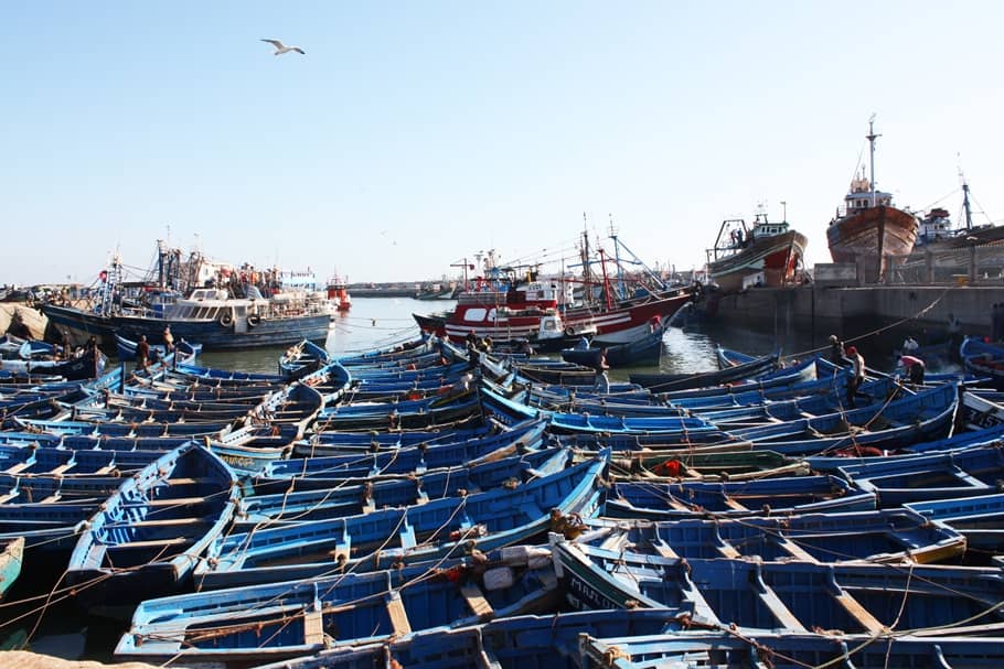 2. Essaouira Marokko Tessted Travel (14)