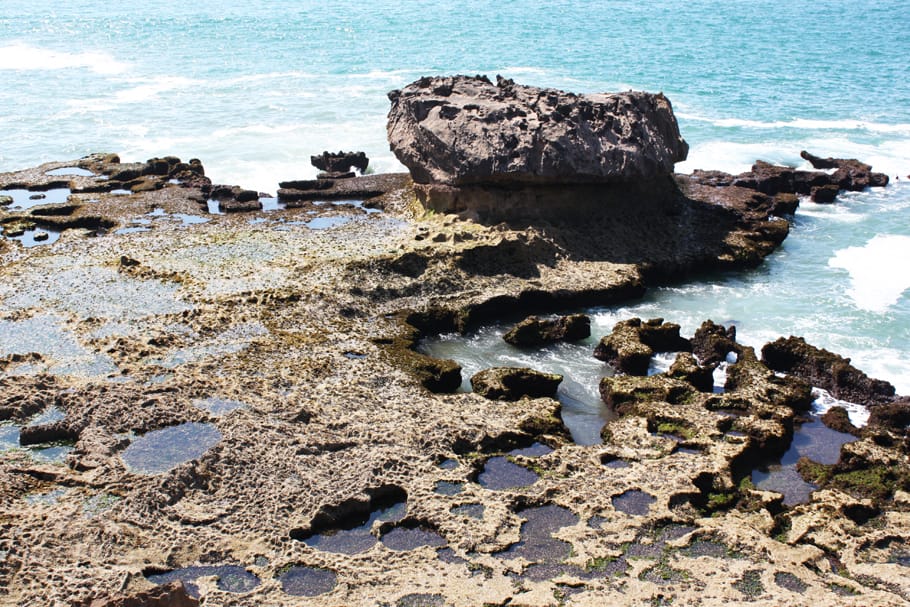 6. Essaouira Marokko Tessted Travel (2)