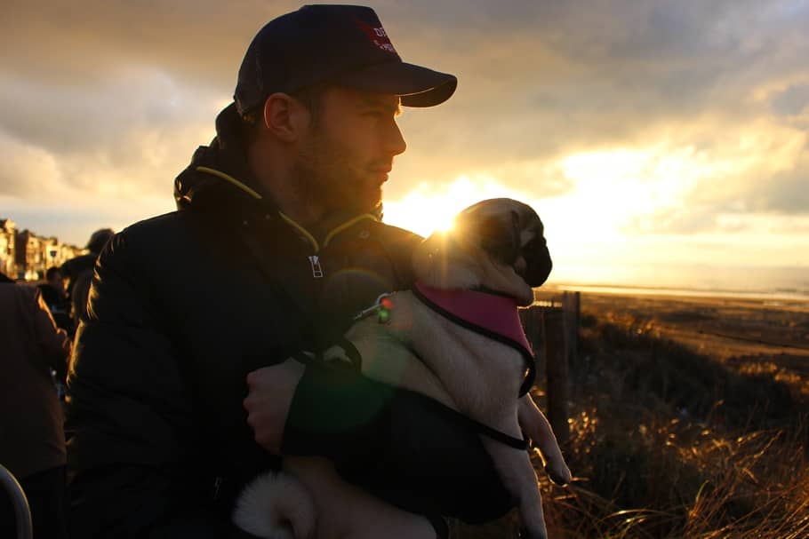 SUNSET PUG