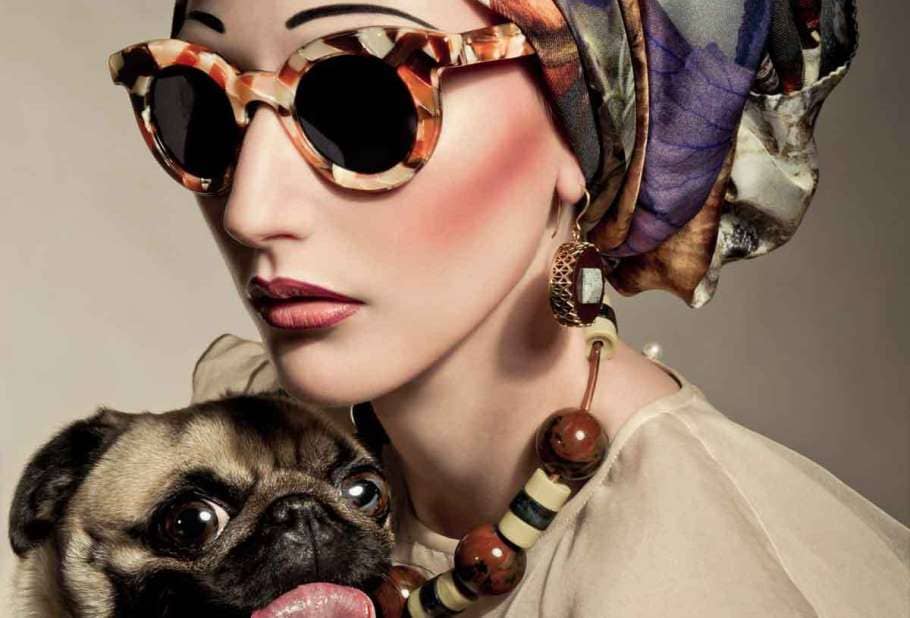 Fashion Dog Tessted Slider sm