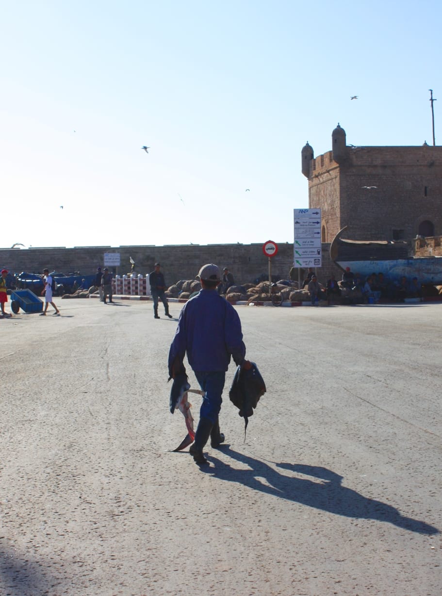 5. Essaouira Marokko Tessted Travel (31)