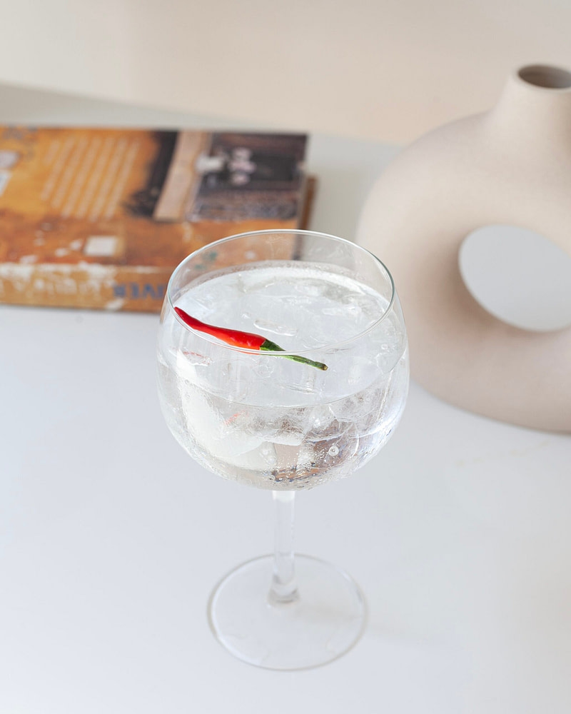 Premium Gin Tonic