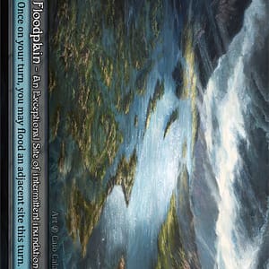 Image of the single card: Floodplain - Beta (B)