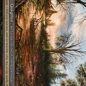 Image of the single card: Quagmire - Beta (B)