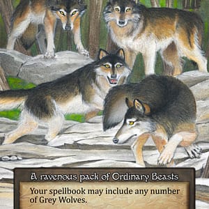 Image of the single card: Grey Wolves - Beta (B)