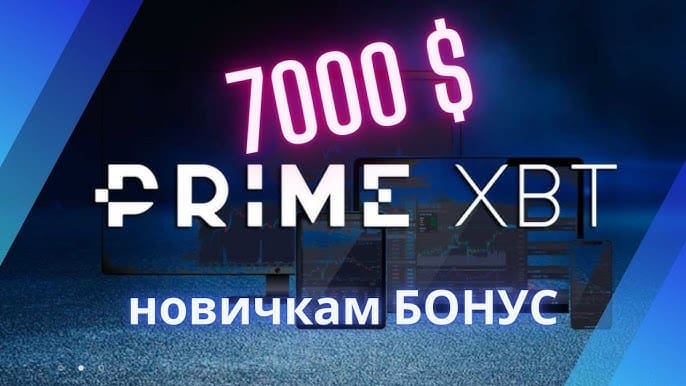 Erfolgreich Investieren mit PrimeXBT Copy Trading