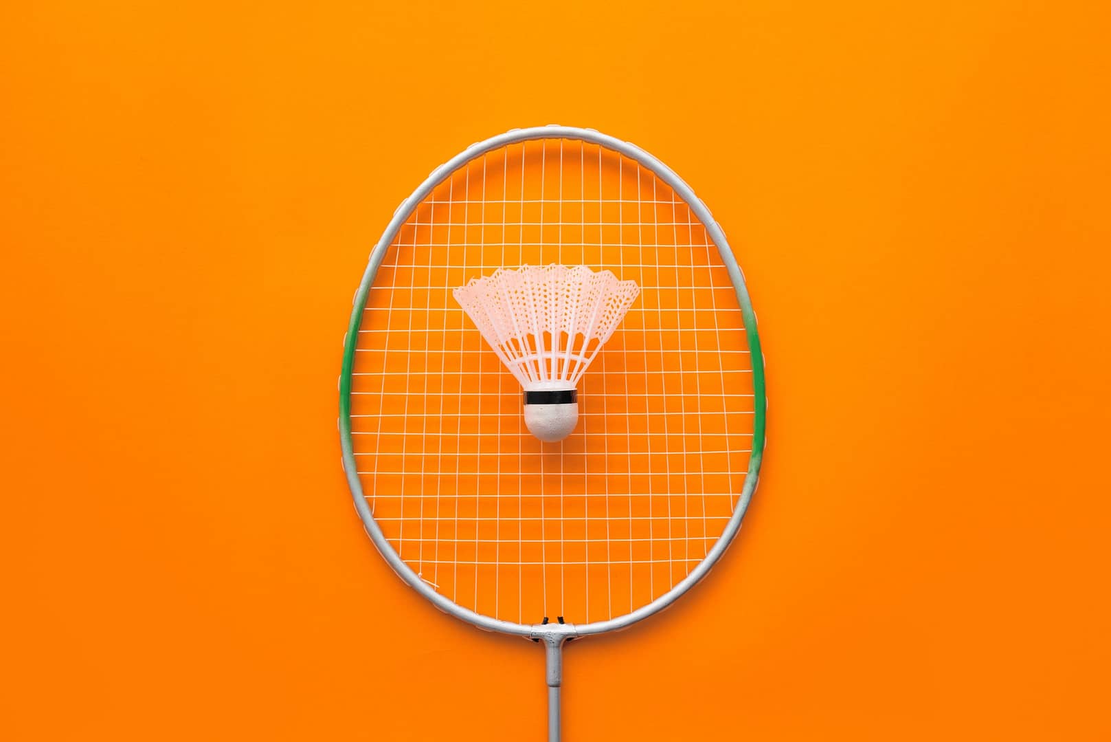Badminton racket and shuttlecock